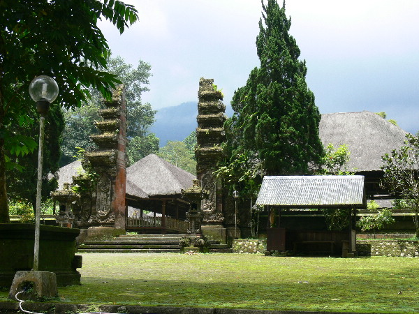 image8