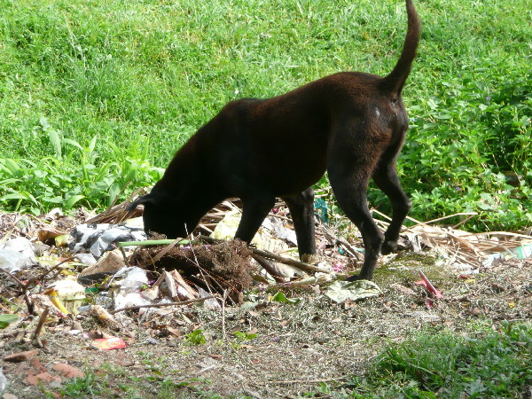 image95