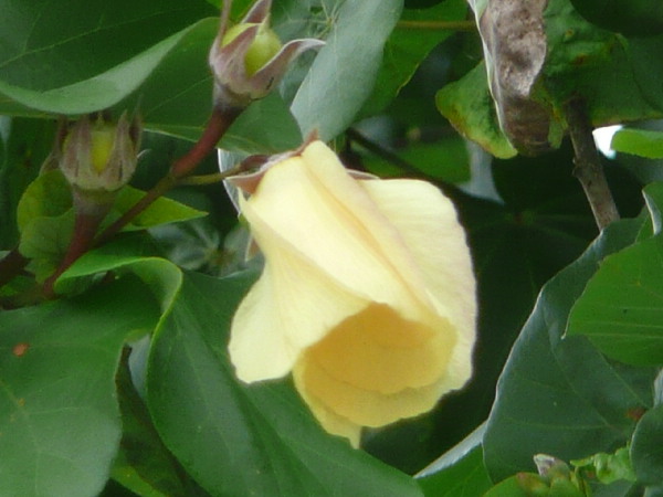 image97