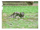 thumbnail11