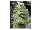thumbnail12