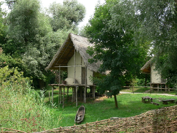 image45