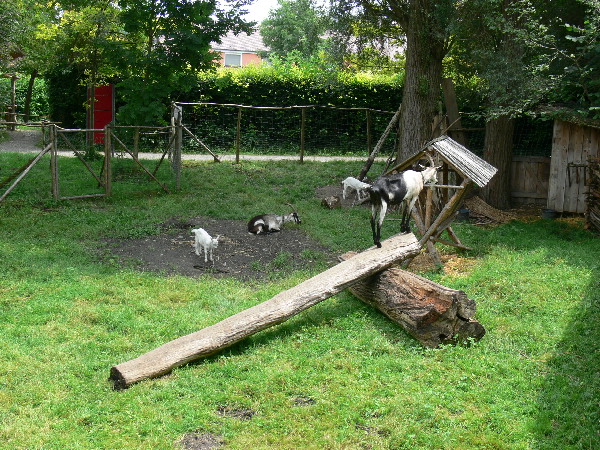 image46
