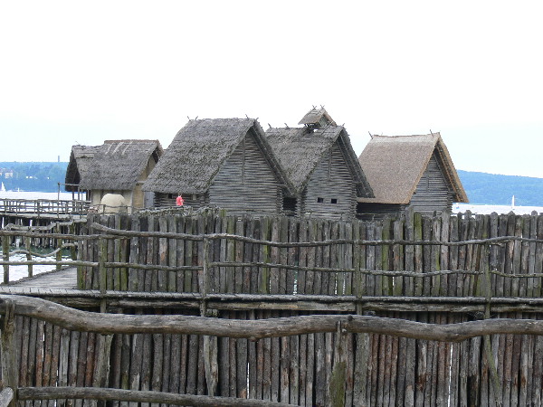 image48