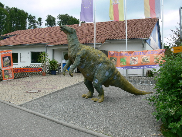 image58