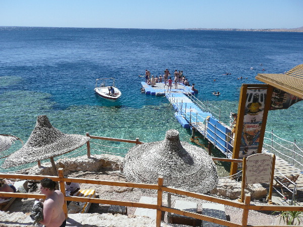 image10