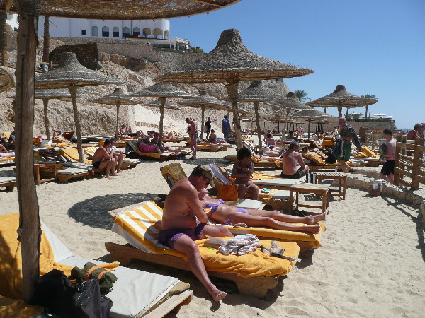 image11