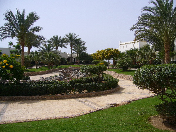 image22
