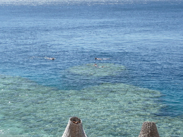 image8