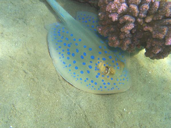 image11
