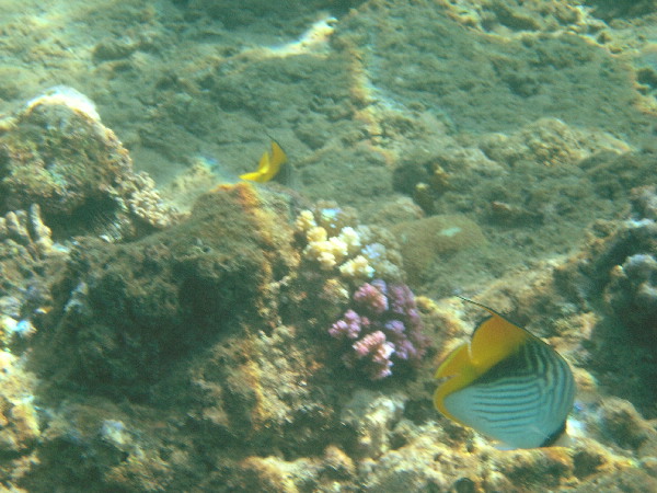 image112