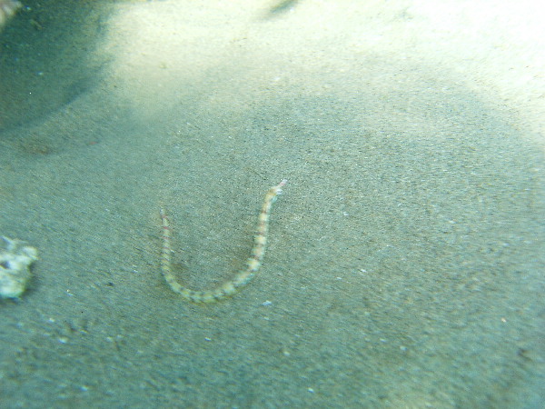 image14
