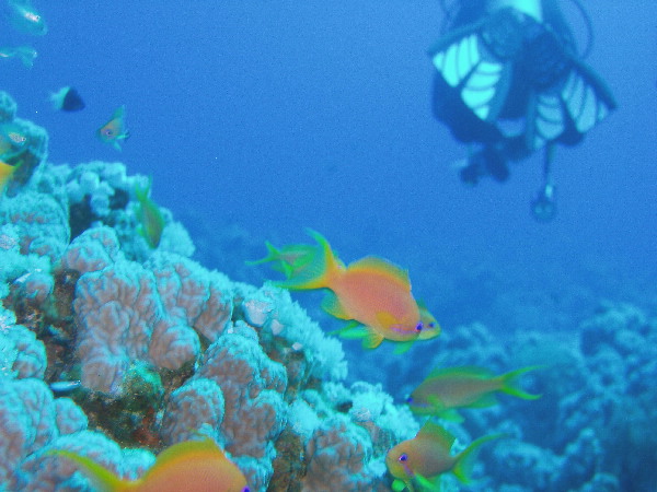 image15