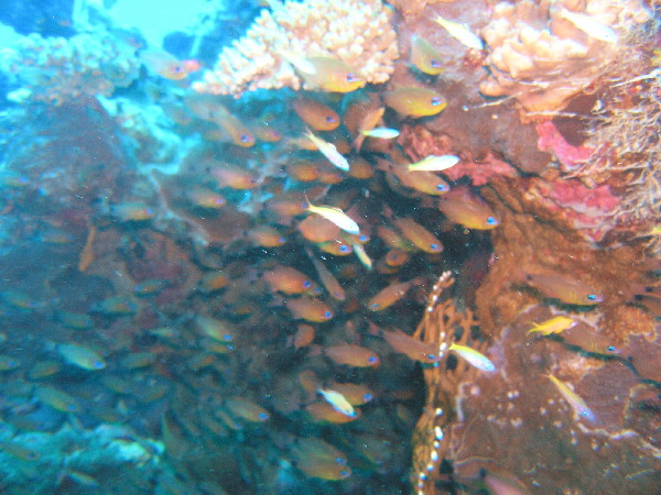 image37