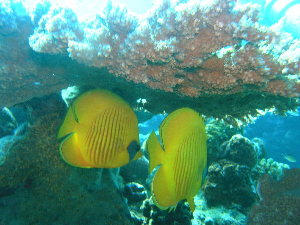 image47