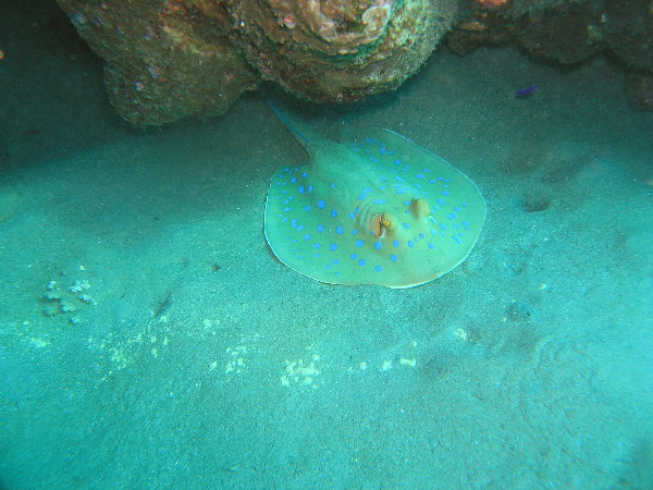 image56