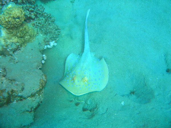 image58
