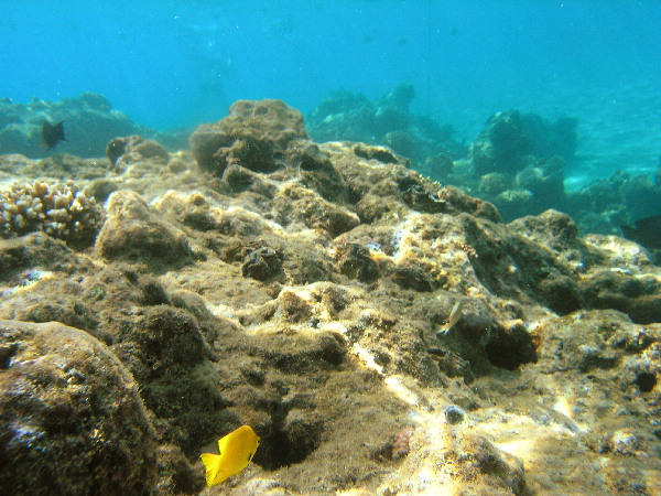 image74