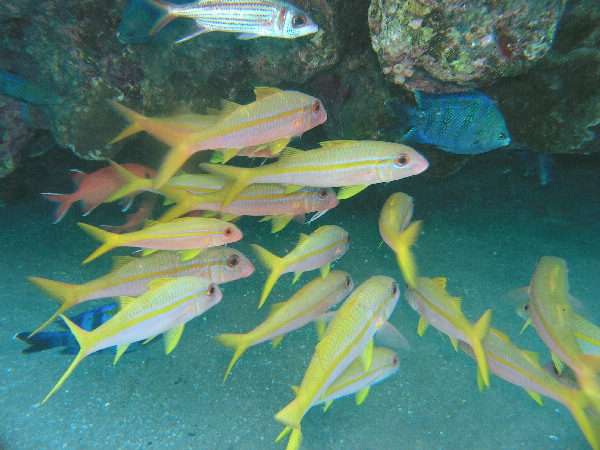 image77