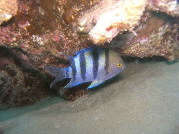 image80