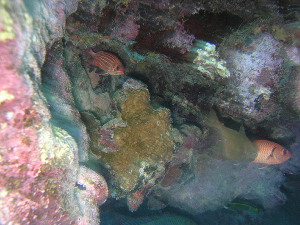 image91