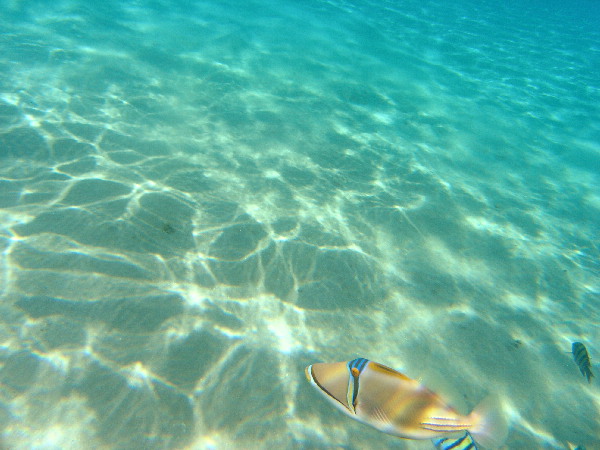 image96