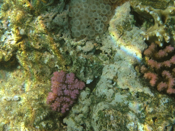 image99
