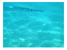 thumbnail104