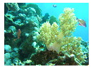 thumbnail22