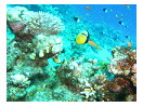 thumbnail23