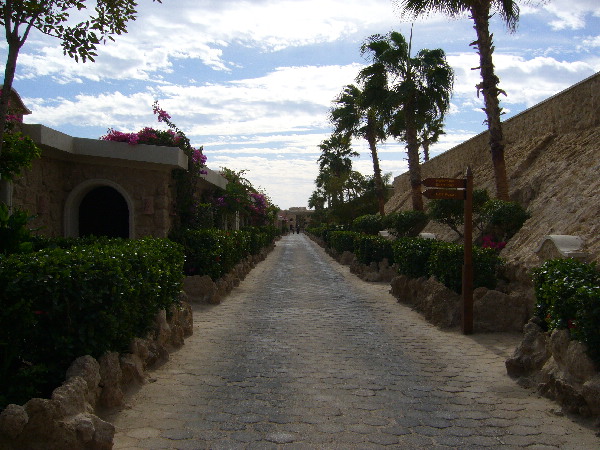 image4