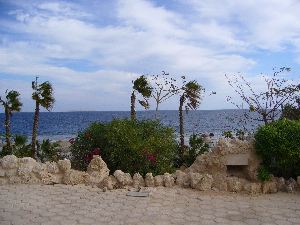 image6