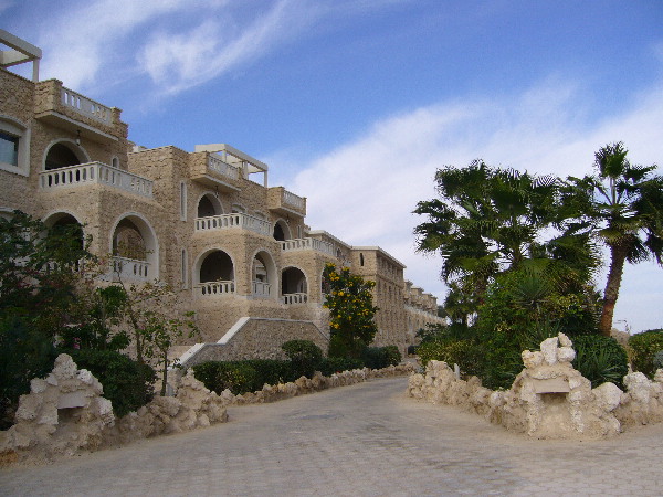 image7