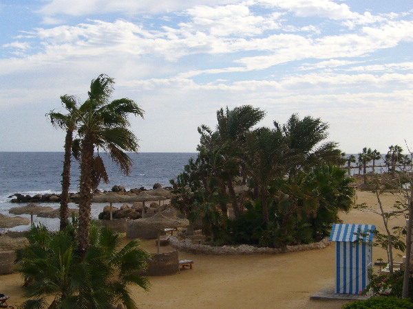 image8