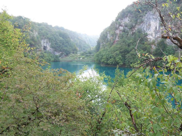image101