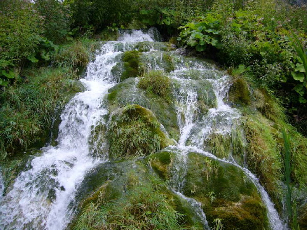 image85