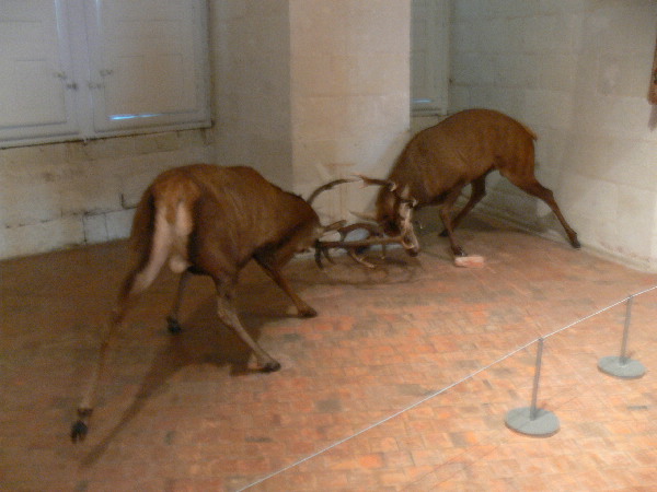 image15