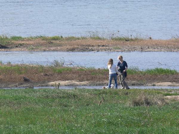 image18
