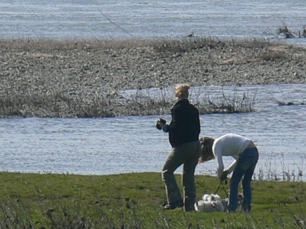 image20