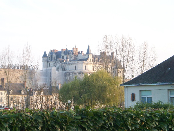 image38