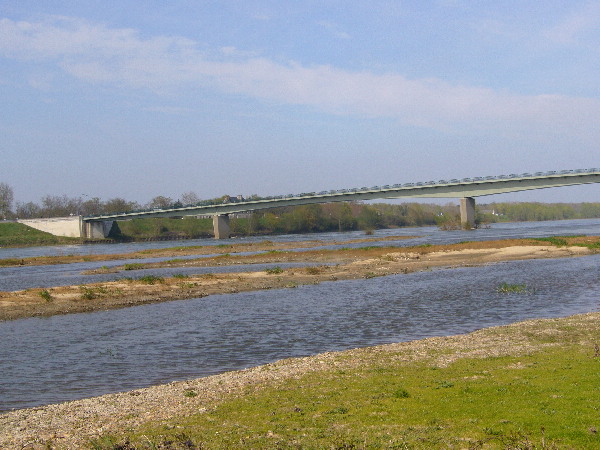 image46
