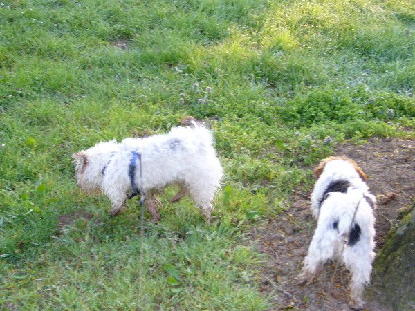 image59