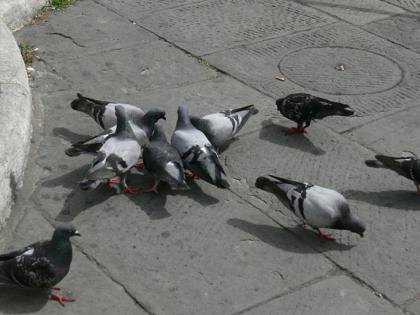 image18