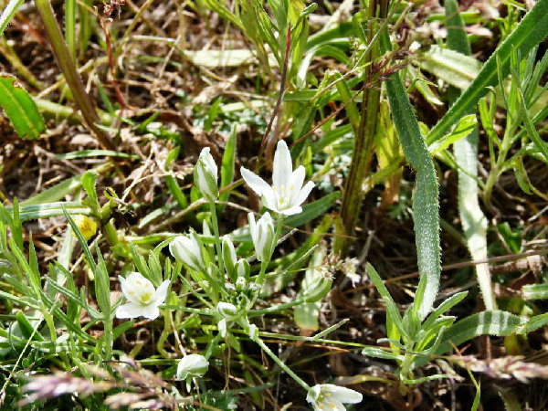 image270