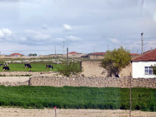image46