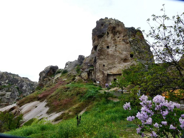 image81