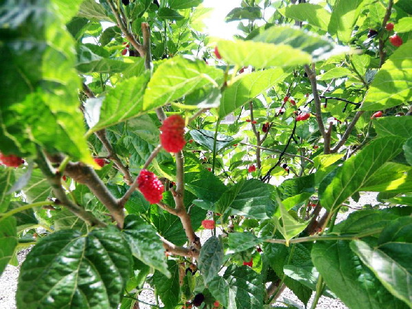 image3