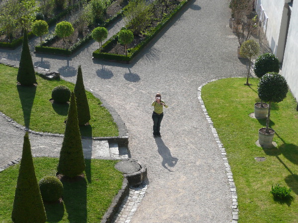 image11