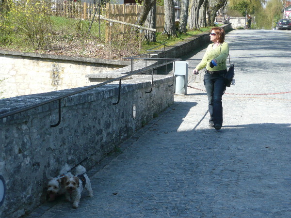 image17