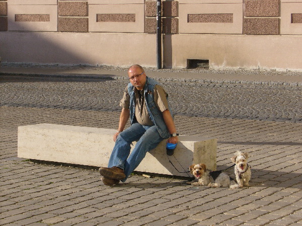 image28